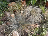 f8ccdd7d-2016-07-27 07.35.21.jpg